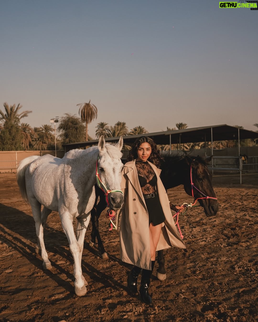 Sonam Pirani - 1K Likes - Who’s the best poser ? 

PS- the first one deserves a magazine cover 

Shot by- @qamarrazafilms 
Location & Horse courtesy - @amsprivatefarm 
#horse #horselove #horses #horseriding #cover #dubai #horsesofinstagram