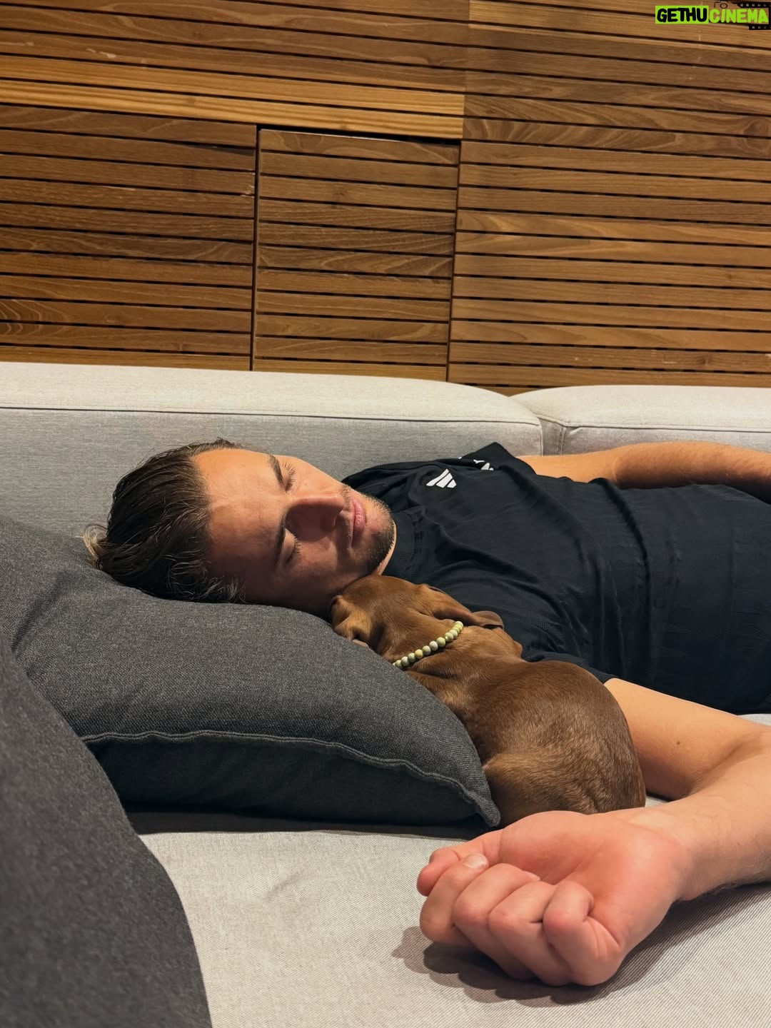 Sophia Thomalla - 183.9K Likes - Two main characters and one who takes care of both of them 🥰
Say hi to Mishka ❤️🐶