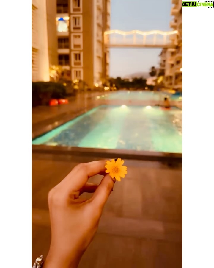 Srijhansi Mungalla - 3.6K Likes - Wrapped in the magic of chilly winds and golden skies. 🌬️🌅
.
.
.

#WinterVibes #SunsetGlow #ChasingTheSun #WinterSunset #NatureLover #SkyLove #PeacefulMoments #GoldenHourMagic #WinterLove #SimpleJoys #NatureBeauty #WeekendVibes #Wanderlust #SereneScenery #positivevibes #vizag #vishakhapatnam_diaries #me #andhrapradesh
