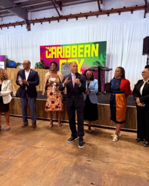 Stacey Plaskett Instagram - The 2025 Caribbean Day Party was an incredible celebration of culture, community, and Caribbean pride, which I hosted alongside my sister-in-service Congresswoman Yvette Clarke during the 54th Congressional Black Caucus Foundation Annual Legislative Conference. 🌺🇻🇮🇯🇲🇹🇹

It was my honor to welcome Adam O to this year’s celebration, whose music and energy perfectly captured the spirit of our Caribbean heritage.

I am grateful to everyone who joined us to uplift the richness of our islands and our people! ✨ #CaribbeanDayParty #ALC54 #CBCF