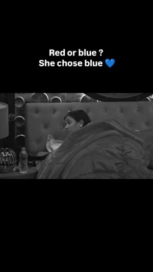 Subiksha kumar Instagram - Red or blue? She chose blue 💙🌊
(The thought behind choosing blue)
#BiggBossTamil #BB9 #BiggBossTamil9 #BB9Tamil #BiggBossSeasonTamil9 #OnnumePuriyala #BiggBoss9 #Vijaysethupathi #BiggBossTamil #BB9 #VijayTV #VijayTelevion #jiohotstar #meenavaponusubi
#BBHouse #SubikshaRocks #RealityShowTrend #ViralContent #InstaShorts #TrendingNow #BBSeasonEntry #BiggBossSeason #SubikshaInBiggBoss #BBFans #RealityShowVibes #TrendingNow #ViralReels