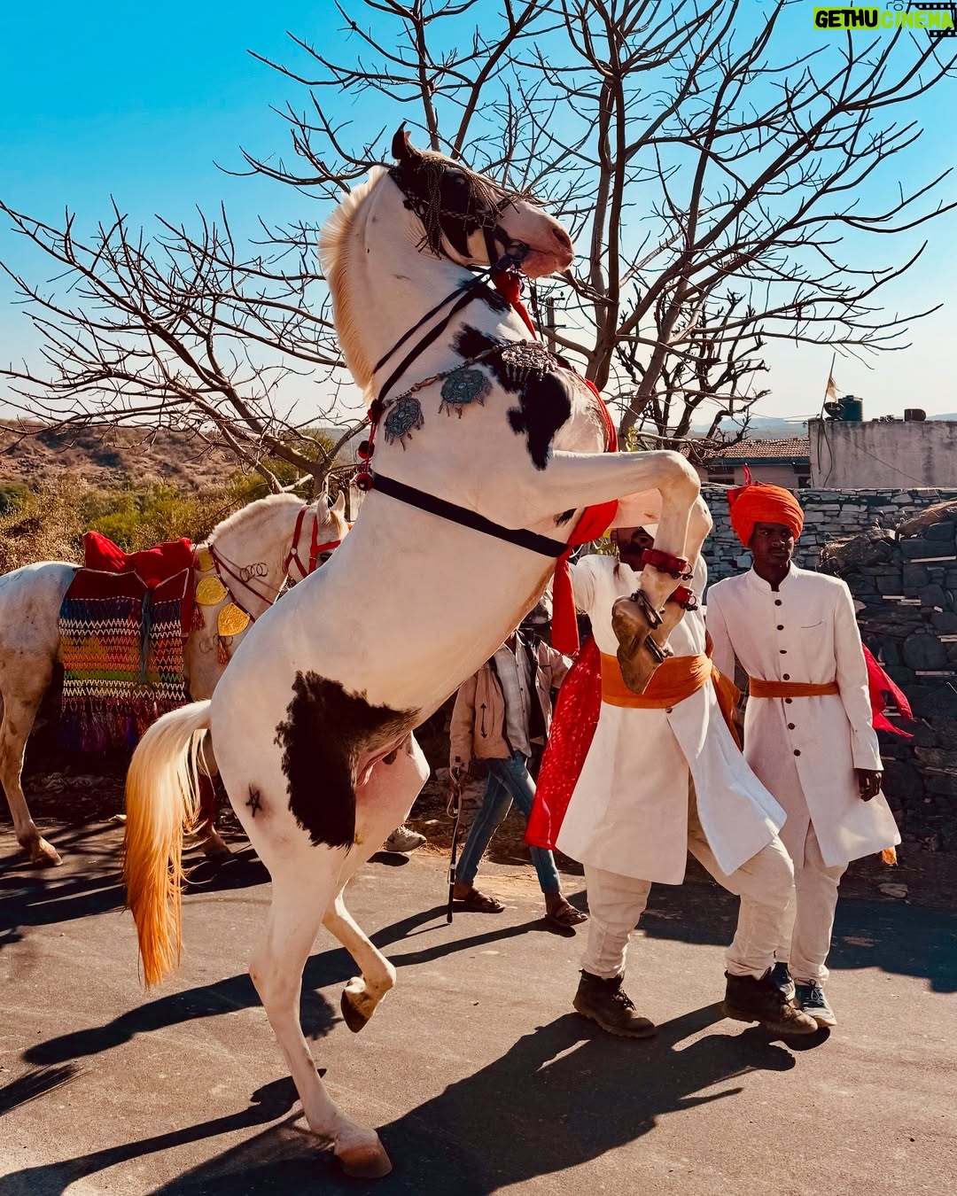 Suman Rao - 3.2K Likes - 5 vibrant, pure and nothing short of magical days of divine bliss in Aidana (mera gaon), Rajasthan! 🌟 

Baisa hukum ( that’s me😉) had a wonderful time celebrating the auspicious stapana of our revered kuldevi Maa with vibrant festivities that touched my heart and soul. 🙏🧿🫶🏻 But what unfolded was beyond magical... the experience healed me in ways I never thought possible! 🙌❤️ 

My heart is full✨🙏

 #kuldeviMaa #stapana #divineintervention #healingvibes