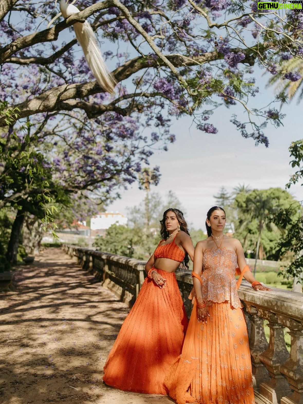 Sunaina Khera - 3.7K Likes - Ravina, a Sunaina Khera bride🍊🧡

Photographed by @amritphotography ✨