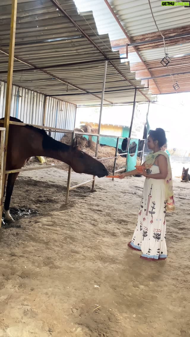 Sunita Trakroo - 3 Likes - A day well spent🌱

#sunitatrakroo #googlesearchsunitatrakroo #instagood #instagram #instalike