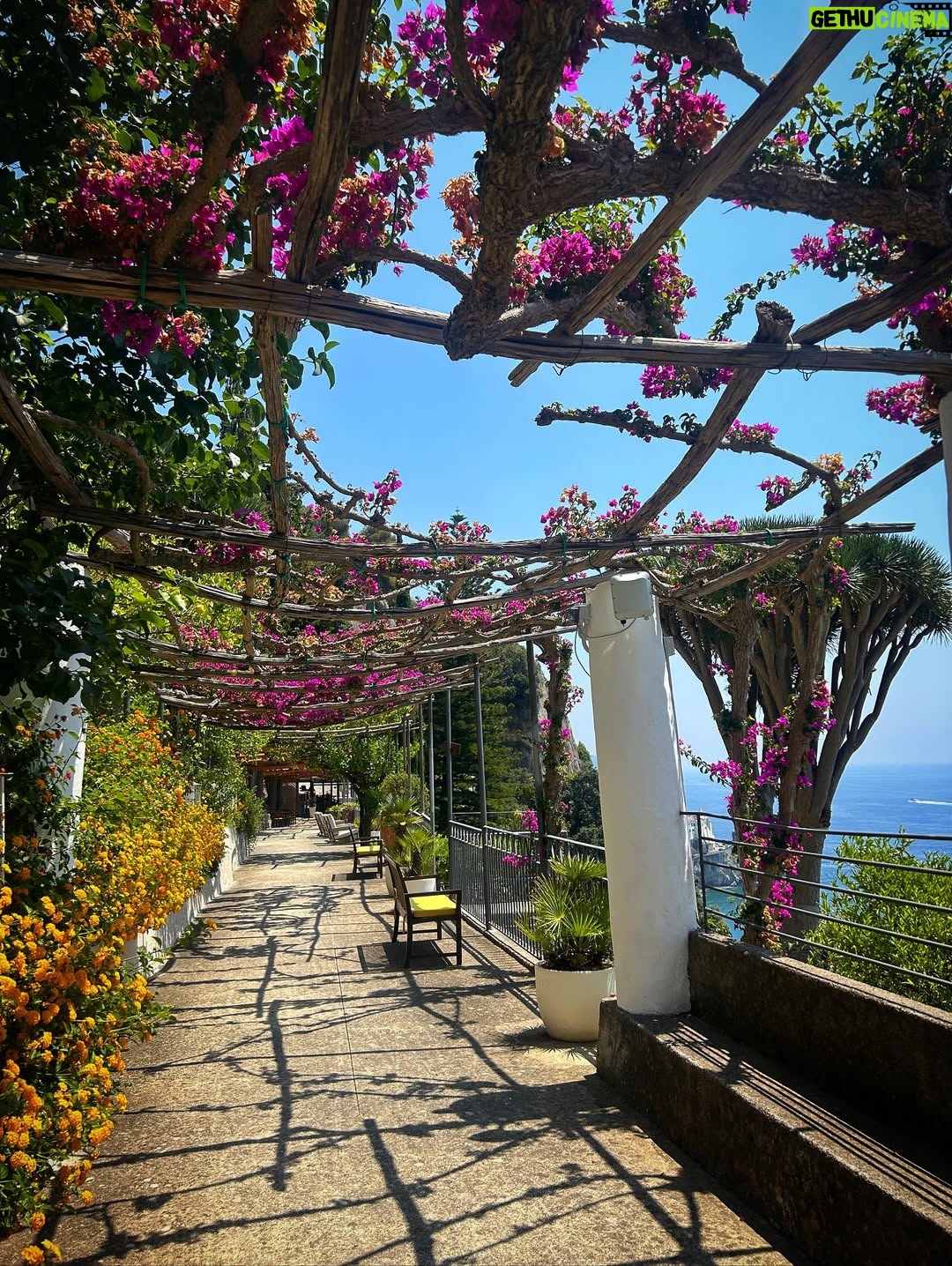 Susan Sarandon - 66.9K Likes - While in Italy for the @andreabocelliofficial foundation, I had the most beautiful stay with breathtaking views @anantaraconventodiamalfi . It’s a place like none other, a 13th century monastery built into the cliffside with modern day perfect service. Thank you for a memorable stay.