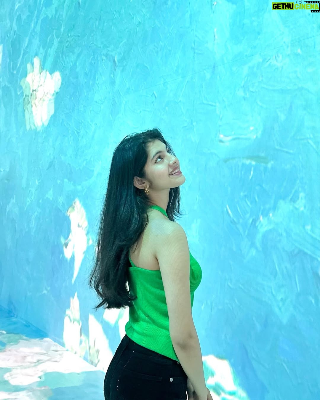 Swaksha - 11.2K Likes - Colour your life like a Van Gogh painting🎨
.
.
.
.
.
#instagram #vangogh #vangoghart #vangoghmuseum #chennai #event #trending #explorepage #explore #picoftheday #instagood #viral #artgallery #art