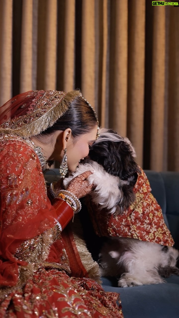 Tanika chawla - 1.6K Likes - His sherwani took the spotlight!! 
My twinning partner ❤️

#myjaan #merabacha