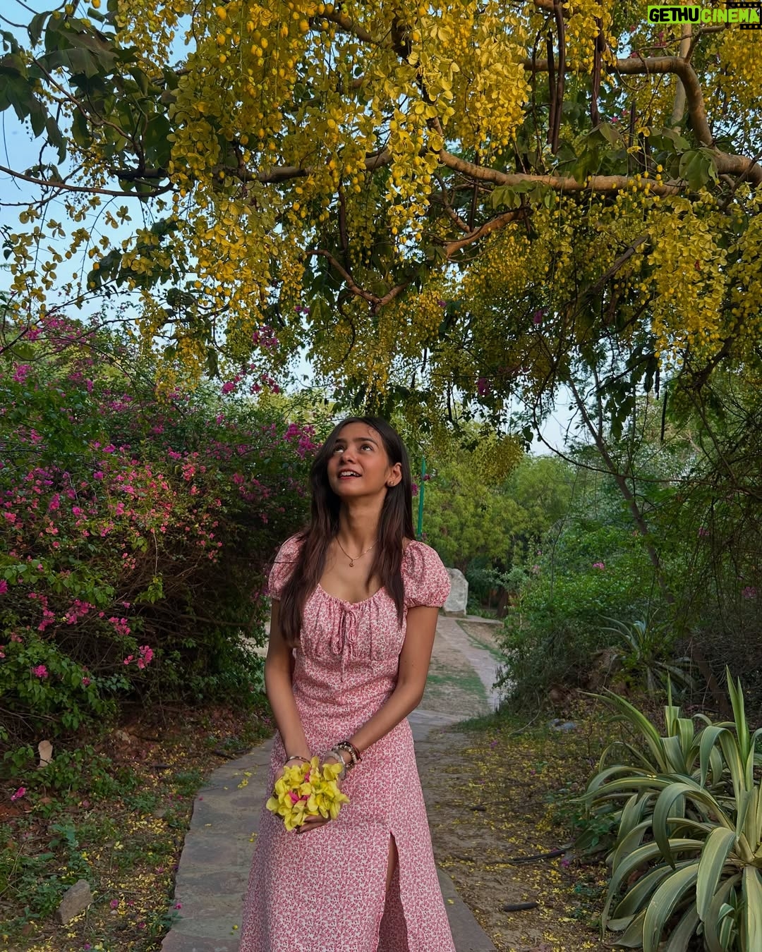 Tanya Singh - 56.8K Likes - Every flower blooms in its own time🌼❤️✨