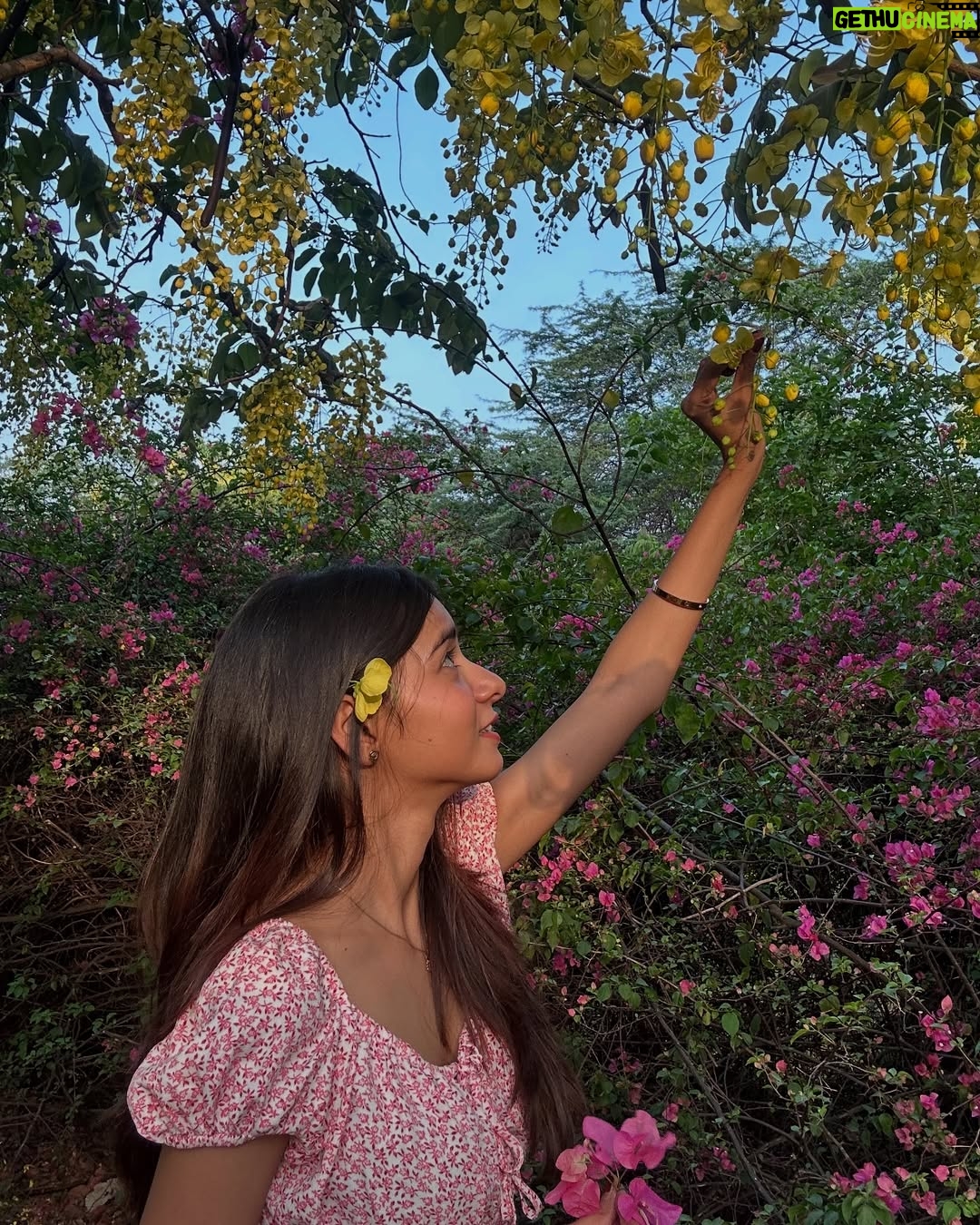 Tanya Singh - 56.8K Likes - Every flower blooms in its own time🌼❤️✨
