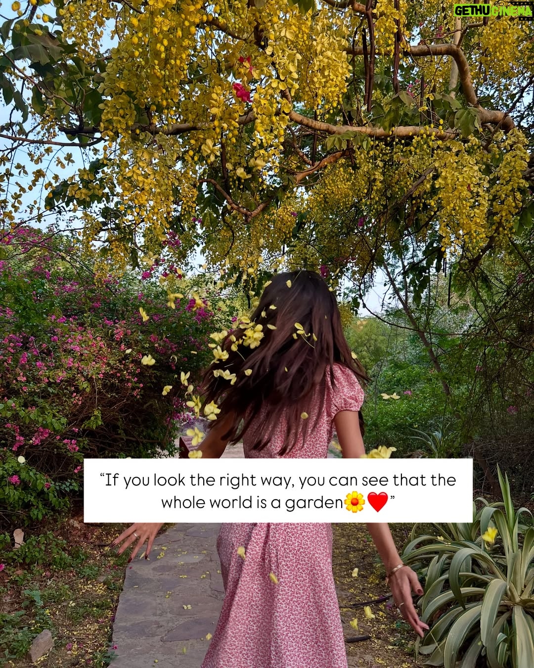 Tanya Singh - 56.8K Likes - Every flower blooms in its own time🌼❤️✨