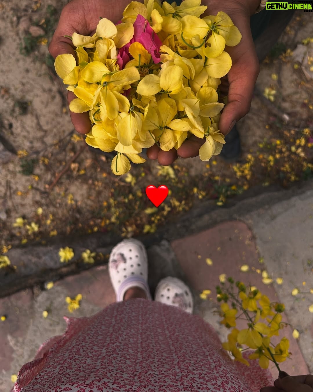 Tanya Singh - 56.8K Likes - Every flower blooms in its own time🌼❤️✨