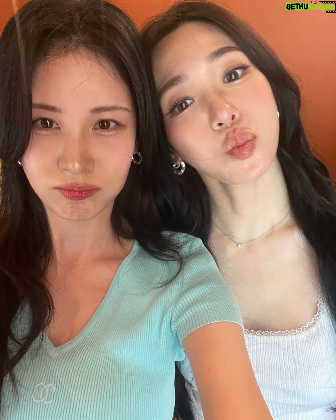 Tiffany Young - 610.1K Likes - yay its august 🦁