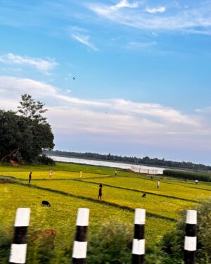 Titas Adhikary Instagram - 📸🩵
▪️
▪️
#insta #instamood #instalike #instagood #instadaily #photo #photographer #photography #like4like #like #like4likes #follow #viral #trend #trendy #fyp #foryou #sky #village #indiapictures #growth #instagram #creator #content #trendingsongs #tree #love #portrait #portraitphotography #apple
▪️
▪️
@wow.matiari_
@titasadhikary399
@itsdebduttaofficial
@india
@indian.photo
@indian.photography
@portraitsofficial
@earth