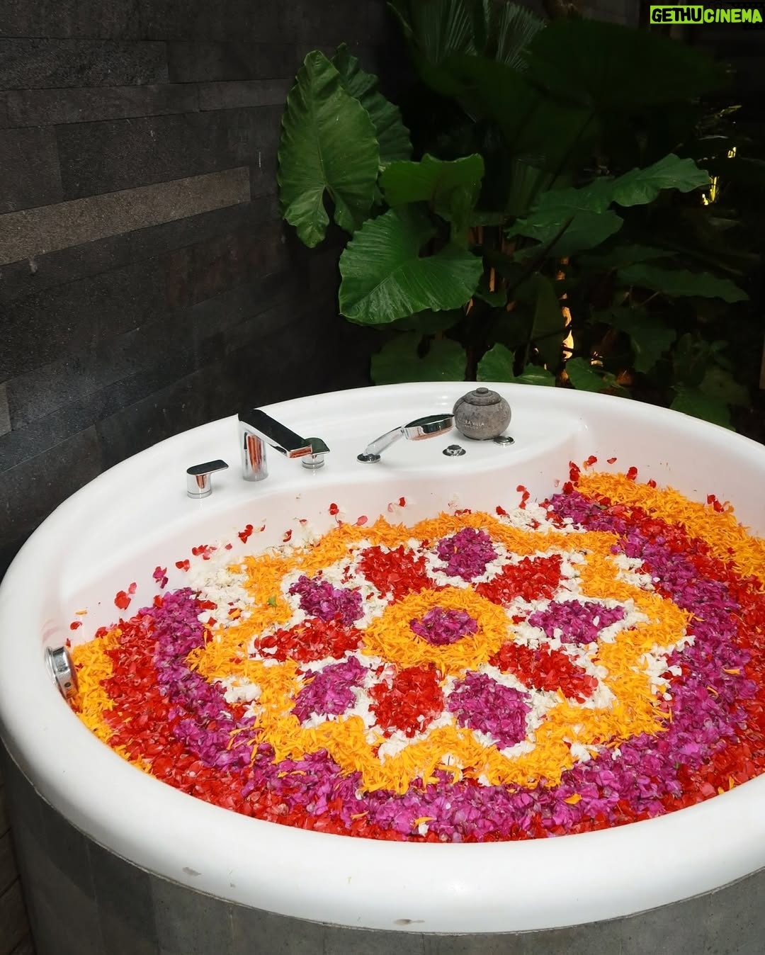 Trisha Shetty - 4.4K Likes - they lied when they said you can’t run away from your problems 🏝️

Checked into @asteracanggu @iniviehospitality and tuned out of the real world

#resortincanggu #asteracanggu #iniviehospitality #thinkbalithinkinivie #bali