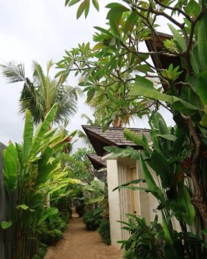 Trisha Shetty Instagram - they lied when they said you can’t run away from your problems 🏝️

Checked into @asteracanggu @iniviehospitality and tuned out of the real world

#resortincanggu #asteracanggu #iniviehospitality #thinkbalithinkinivie #bali