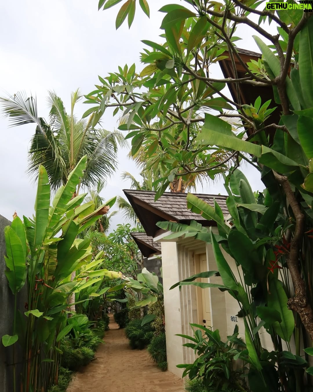 Trisha Shetty - 4.4K Likes - they lied when they said you can’t run away from your problems 🏝️

Checked into @asteracanggu @iniviehospitality and tuned out of the real world

#resortincanggu #asteracanggu #iniviehospitality #thinkbalithinkinivie #bali