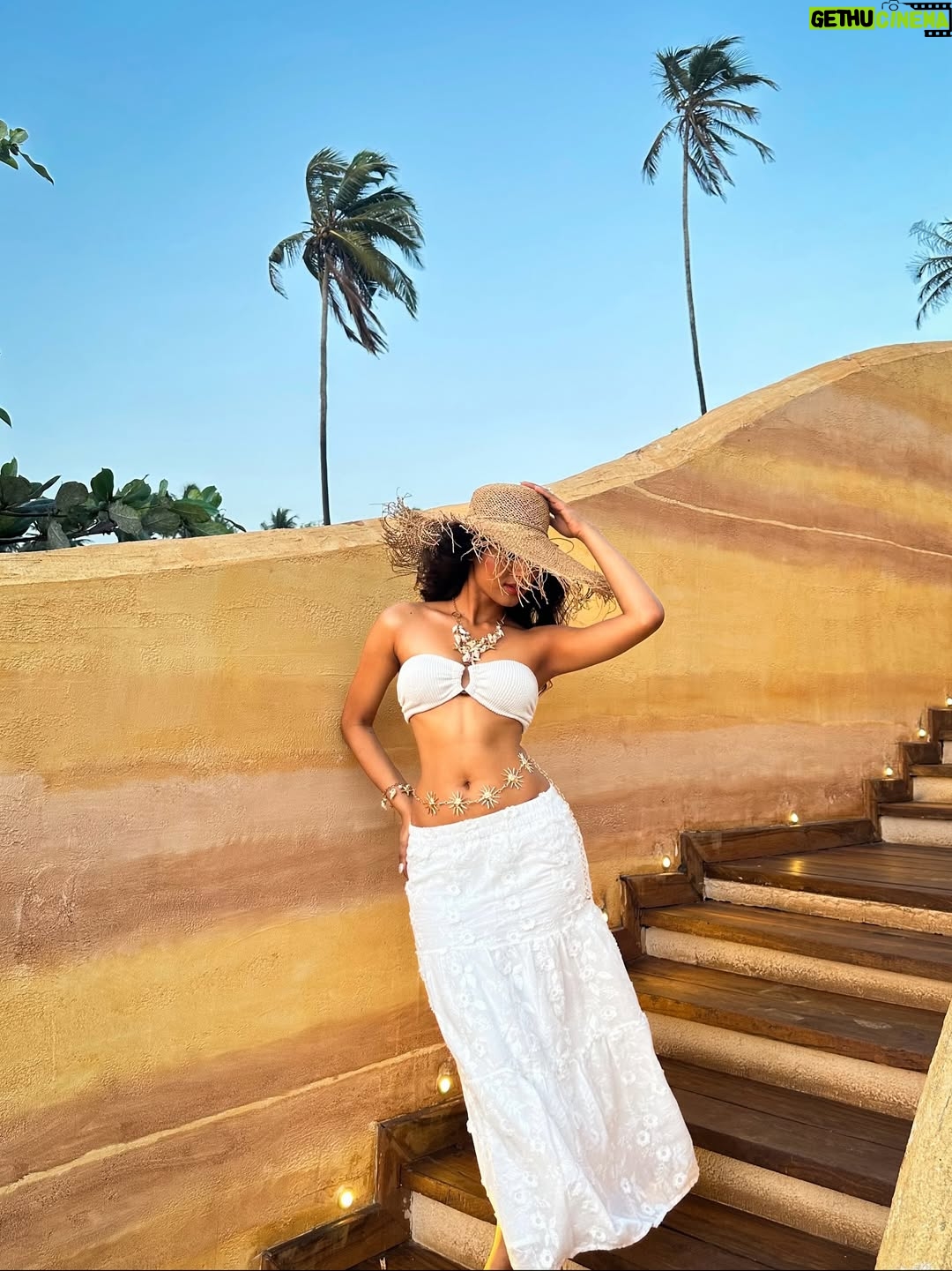 Trisha Shetty - 3.6K Likes - she sells sea 🐚 by the 🌊 shore