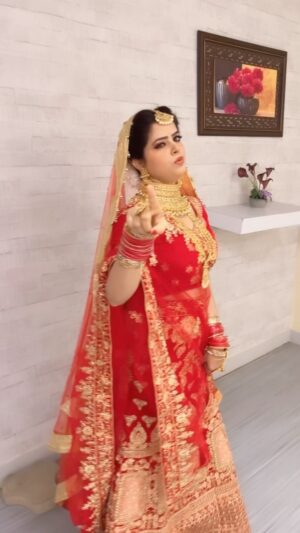 Twinkle Mishra Instagram -