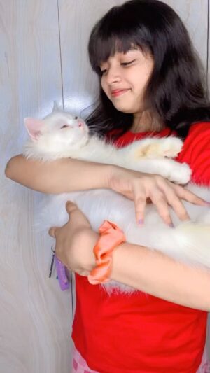Twinkle Mishra Instagram - Ye tera mera rishta💞
@sejal_jena_28
#missy #cat #catlove #catlover