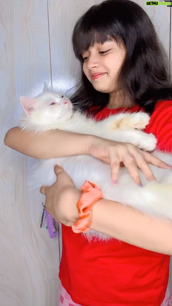 Twinkle Mishra - 1.1K Likes - Ye tera mera rishta💞

@sejal_jena_28 

#missy  #cat  #catlove #catlover