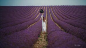 Unaisa Subair Instagram - Lost in a lavender dream 💜

LavenderFields #WhiteDress #DreamyVibes #sekharabrahamphotography #InBloom #PurpleHues #EtherealBeauty #FlowerFields #SummerDreams #PeacefulMoments #SerenityNow #FloralMagic #Wanderlust #PureElegance #lavenderlove