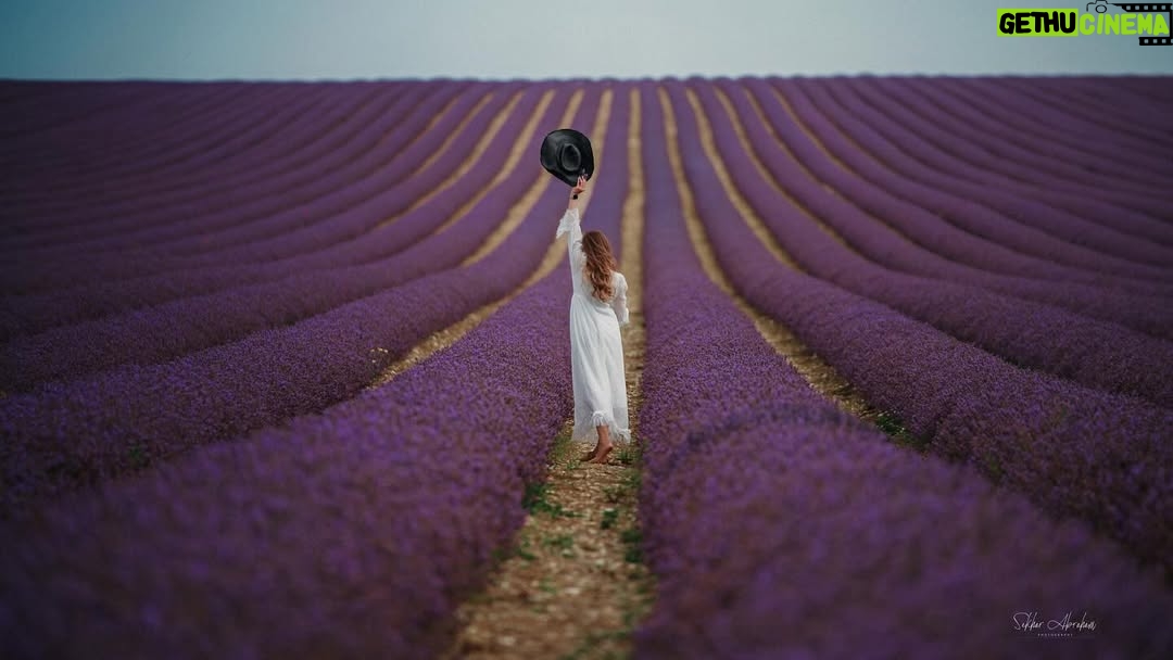 Unaisa Subair - 2.6K Likes - Lost in a lavender dream 💜

LavenderFields #WhiteDress #DreamyVibes #sekharabrahamphotography #InBloom #PurpleHues #EtherealBeauty #FlowerFields #SummerDreams #PeacefulMoments #SerenityNow #FloralMagic #Wanderlust #PureElegance #lavenderlove