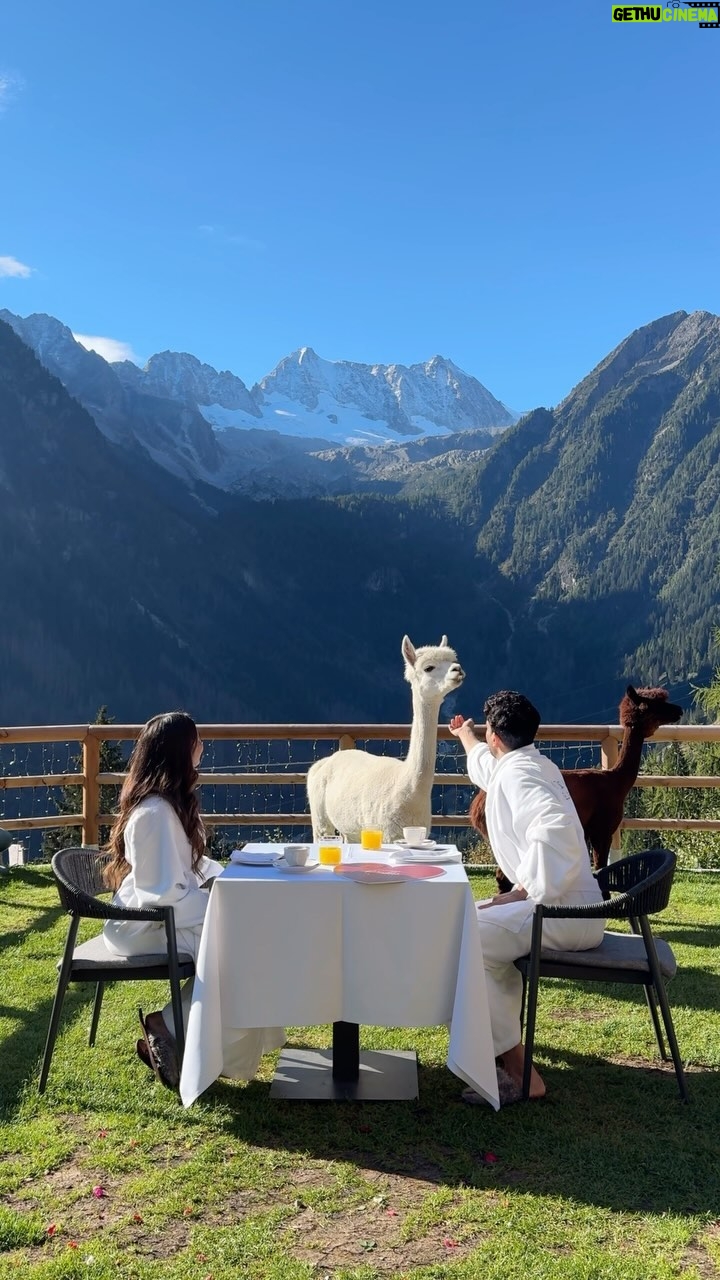 Unaisa Subair - 6.7K Likes - Morning with Alpacas 🤍 @chalet_al_foss