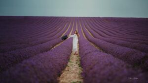 Unaisa Subair Instagram - Lost in a lavender dream 💜

LavenderFields #WhiteDress #DreamyVibes #sekharabrahamphotography #InBloom #PurpleHues #EtherealBeauty #FlowerFields #SummerDreams #PeacefulMoments #SerenityNow #FloralMagic #Wanderlust #PureElegance #lavenderlove