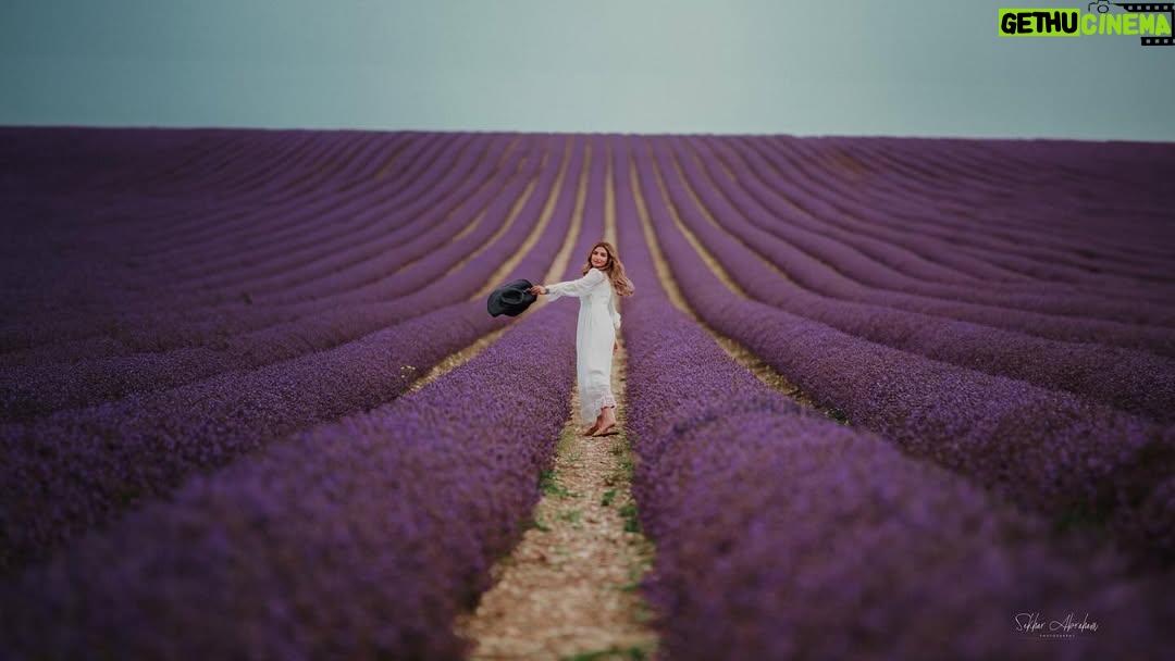 Unaisa Subair - 2.6K Likes - Lost in a lavender dream 💜

LavenderFields #WhiteDress #DreamyVibes #sekharabrahamphotography #InBloom #PurpleHues #EtherealBeauty #FlowerFields #SummerDreams #PeacefulMoments #SerenityNow #FloralMagic #Wanderlust #PureElegance #lavenderlove
