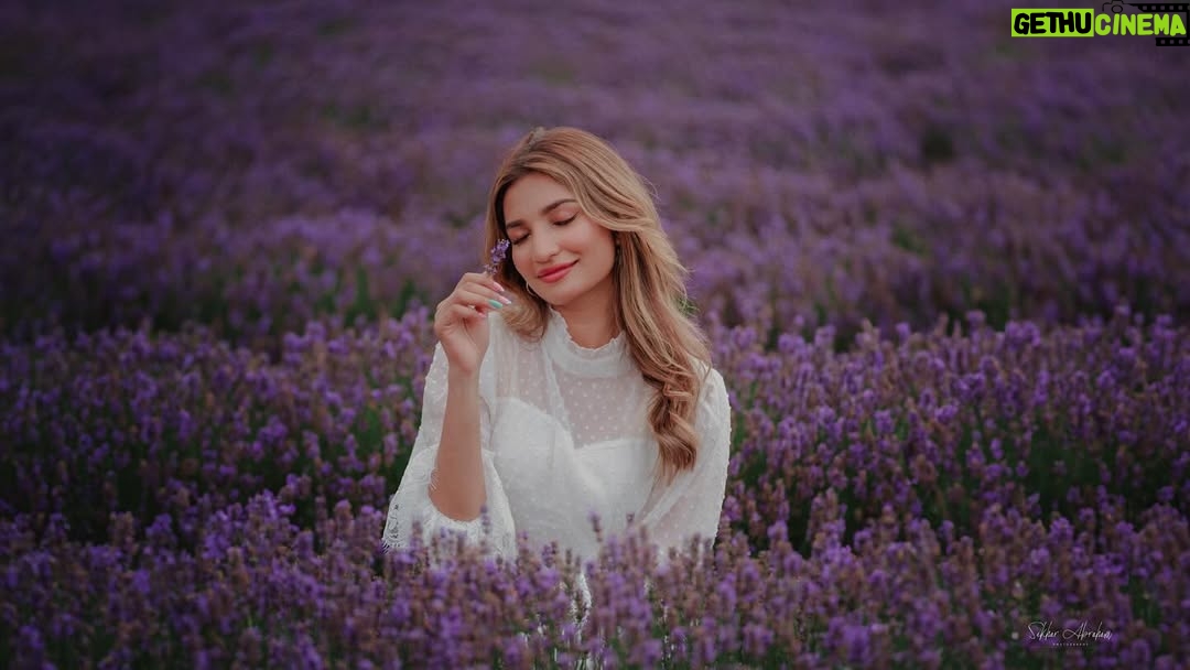 Unaisa Subair - 2.6K Likes - Lost in a lavender dream 💜

LavenderFields #WhiteDress #DreamyVibes #sekharabrahamphotography #InBloom #PurpleHues #EtherealBeauty #FlowerFields #SummerDreams #PeacefulMoments #SerenityNow #FloralMagic #Wanderlust #PureElegance #lavenderlove