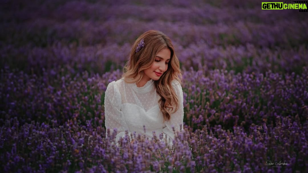Unaisa Subair - 2.6K Likes - Lost in a lavender dream 💜

LavenderFields #WhiteDress #DreamyVibes #sekharabrahamphotography #InBloom #PurpleHues #EtherealBeauty #FlowerFields #SummerDreams #PeacefulMoments #SerenityNow #FloralMagic #Wanderlust #PureElegance #lavenderlove