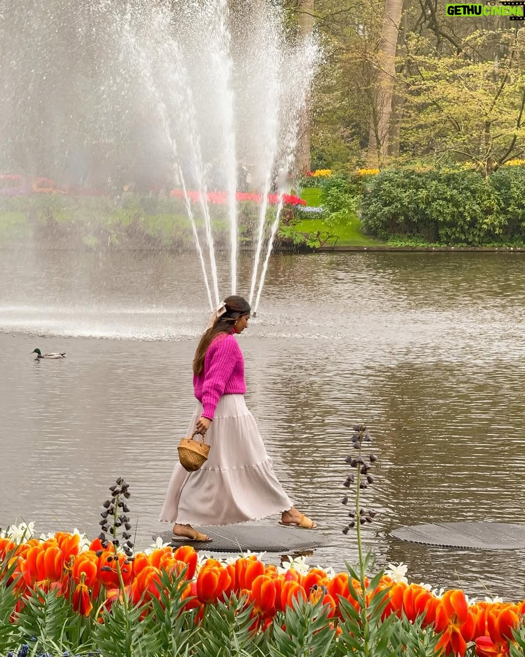 Unaisa Subair - 5.3K Likes - A world of tulips 🌷💐