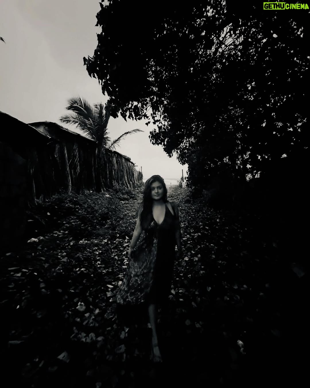 Vaibhavi Shandilya - 42.5K Likes - Monsoon at Morjim