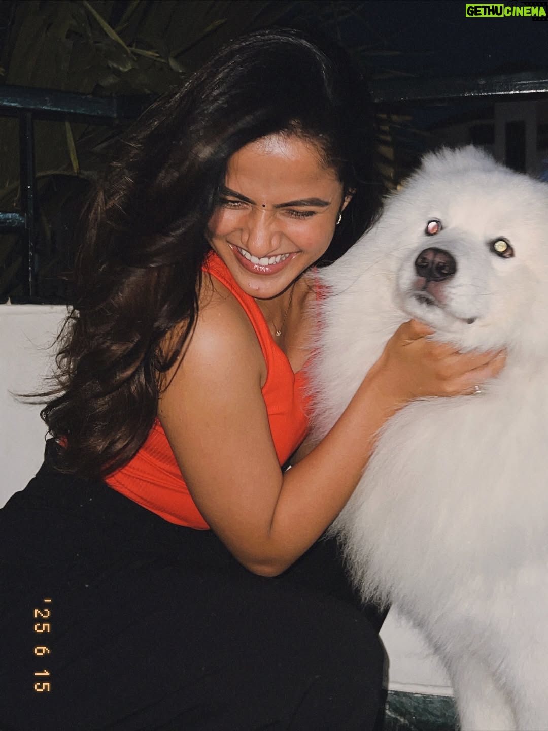 Vaishnavi Chaitanya - 795.9K Likes - Evenings like this ♥️🐶✨