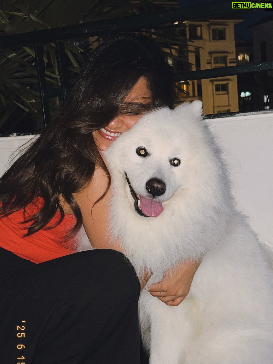 Vaishnavi Chaitanya - 795.9K Likes - Evenings like this ♥️🐶✨