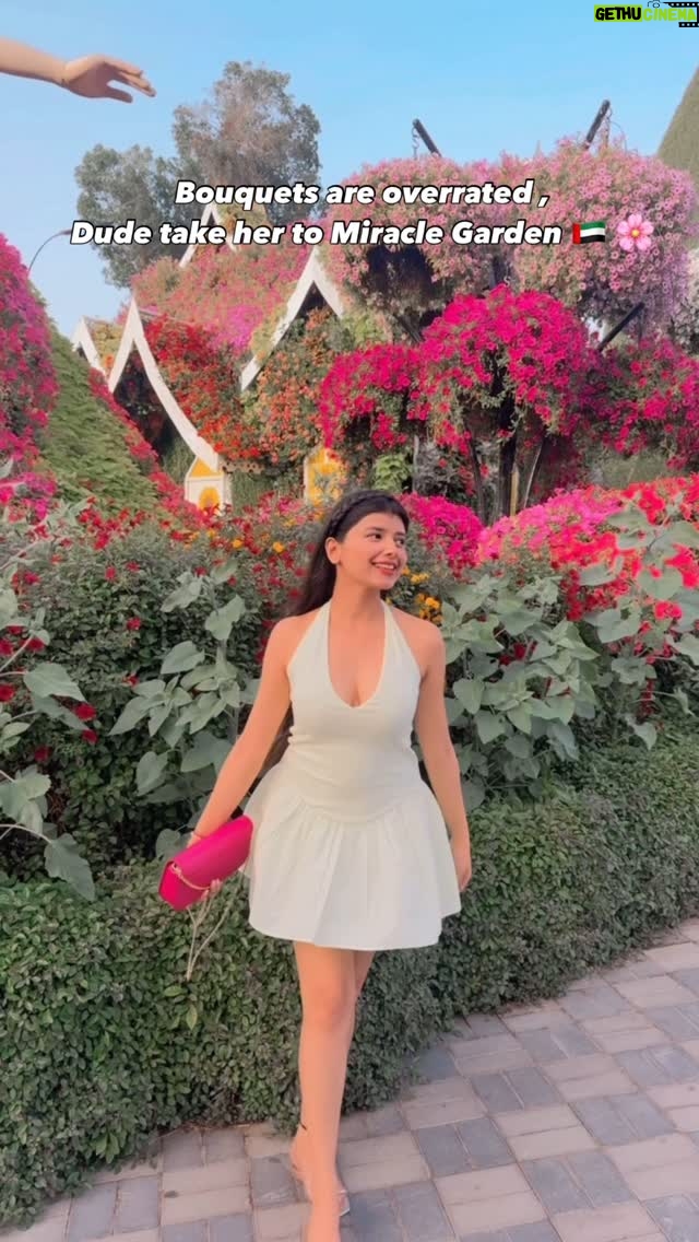 Vanshika Agarwal - 595 Likes - A garden of dreams ⭐️🌸🫶🏻