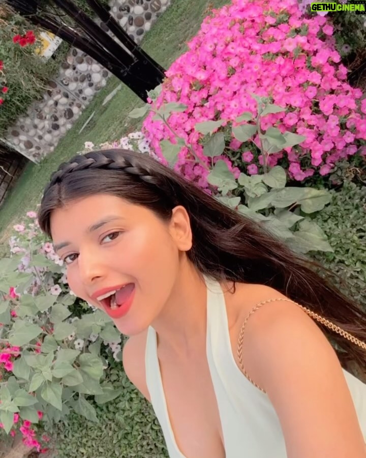 Vanshika Agarwal - 779 Likes - Among millions of flowers 🌸☘️🌻💕

Swipe to last for something funny 😋

#dubai #dxb #dubaimiraclegarden #vacation #travel #uae #love #spring #tbt #floral #flowers #pretty