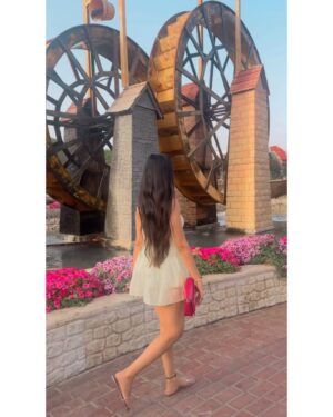 Vanshika Agarwal Instagram - Among millions of flowers 🌸☘️🌻💕

Swipe to last for something funny 😋

#dubai #dxb #dubaimiraclegarden #vacation #travel #uae #love #spring #tbt #floral #flowers #pretty