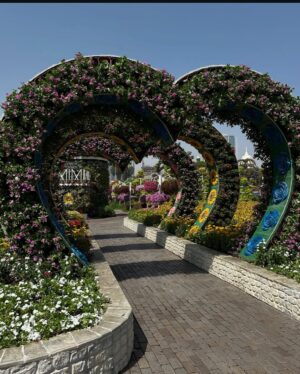 Vanshika Agarwal Instagram - Among millions of flowers 🌸☘️🌻💕

Swipe to last for something funny 😋

#dubai #dxb #dubaimiraclegarden #vacation #travel #uae #love #spring #tbt #floral #flowers #pretty