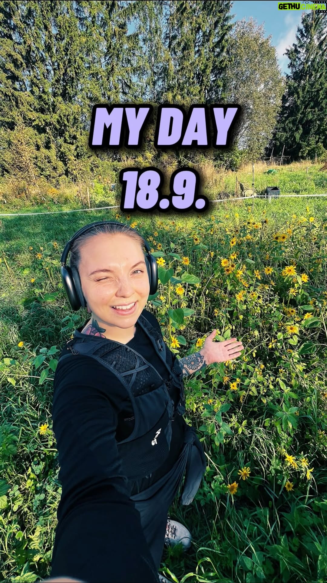 Veronica Verho - 3K Likes - Mainos: @eatgoldandgreen MY DAY 18.9. ⭐️

Kasvisruokapäivä, eksymistä ja uutuuksia!

Gold&Greeniltä on tullut kaksi uutta, sydänmerkittyä valmisruokaa! Pakkaukset on ihanat ja niin myös sisällys. Uudet maut ovat tikka masala ja thai curry, mun lemppari on ehdottomasti tikka masala! ❤️‍🔥 Ja mitä sydänmerkitty oikeasti meinaa? No sitä, että se on SULLE parempi valinta ravintoarvollisesti. Se helpottaa siinäkin mielessä ettei tarvitse lounasta hakiessa lukea kaikkia tuoteselosteita pakkausien takaa. ❤️