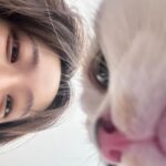 ViVi