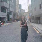 ViVi