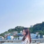 ViVi