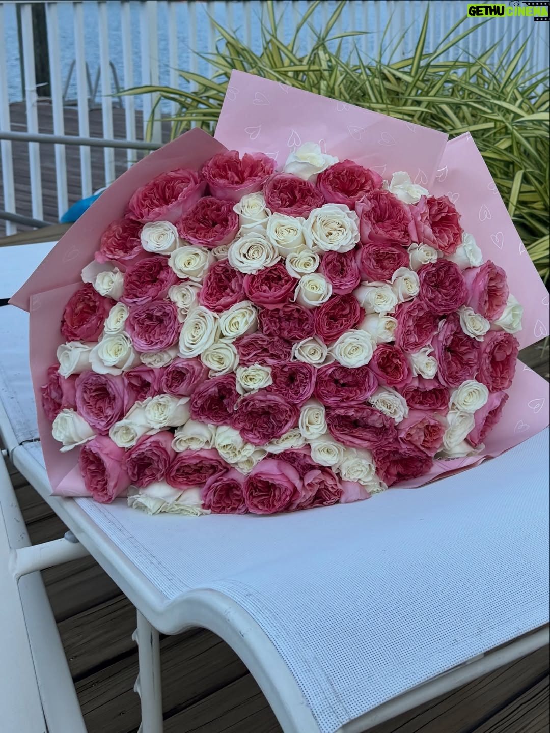 Victoria Jancke - 11.6K Likes - Love language: 🌹💐🌸🥀🌺🌷♥️ @lexandroses 

My love language is flowers. 🌸
Now that I’m back in dating, one of my non-negotiables and standards is that a man brings me flowers — ideally roses — either when he picks me up or sends them before the date.

I actually learned this from one of my Russian friends, and it stayed with me. Because honestly, if a man can’t even afford to bring you flowers, how could he ever hold the space for you to be in your feminine energy or eventually lead a household?

For me, it’s not about material things — it’s about gesture, effort, and appreciation.
Flowers are a simple, yet powerful expression of feminine value and romance. 🌷
__________
🇩🇪 Meine Love Language sind Blumen. 🌸
Seit ich wieder date, ist eines meiner Non-Negotiables und ein echter Standard für mich, dass ein Mann mir Blumen mitbringt – am liebsten Rosen –, entweder wenn er mich abholt oder er sendet sie vor dem Date.

Das habe ich von einer meiner russischen Freundinnen gelernt, und es ist mir bis heute geblieben. Denn ganz ehrlich: Wenn ein Mann sich nicht einmal leisten oder die Mühe machen kann, dir Blumen zu bringen – wie soll er dann den Raum halten, damit du in deiner weiblichen Energie sein kannst oder irgendwann die Frau im Haus wirst?

Für mich geht es dabei nicht um Materielles – sondern um Gesten, Mühe und Wertschätzung.
Blumen sind ein einfacher, aber unglaublich kraftvoller Ausdruck von weiblichem Wert und Romantik. 🌷