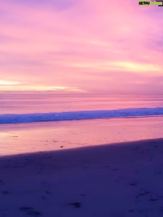 Vinessa Shaw - 2.2K Likes - Rufus, our sweet handsome boy is gone! He was 14! He had the deepest gaze and the goofiest ways. Climbing all over and licking you, balancing things on his head and pointing forever. A big personality all the way to the end. I think he was pretty special, even though I might be biased since he was my “first born”. I’d like to think we rescued him from “show business” since his parents were show dogs. He was meant to be famous, but he was only that for those who knew him. Since he passed the same day as the legendary handsome, gingery Robert Redford, perhaps he now lives among legends. #rufusthevizsla