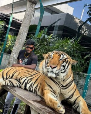 Vinoth Gana Instagram - #thailand🇹🇭 ☺️#pattaya #ganavinothuofficial #gana #trending #viral #instagram #instalike #instareels #reels #video #pic #photo #videos #love #reelsInstagram #ganalovesongs #ganasong #shorts #short