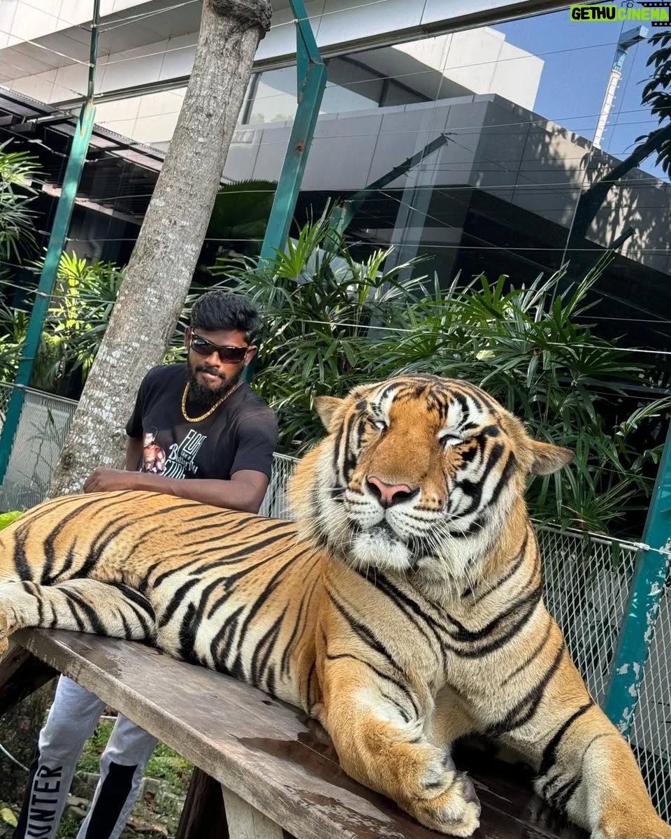 Vinoth Gana - 1.7K Likes - #thailand🇹🇭 ☺️#pattaya #ganavinothuofficial #gana #trending #viral #instagram #instalike #instareels #reels #video #pic #photo #videos #love #reelsInstagram #ganalovesongs #ganasong #shorts #short