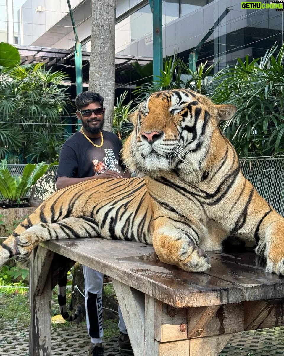 Vinoth Gana - 1.7K Likes - #thailand🇹🇭 ☺️#pattaya #ganavinothuofficial #gana #trending #viral #instagram #instalike #instareels #reels #video #pic #photo #videos #love #reelsInstagram #ganalovesongs #ganasong #shorts #short