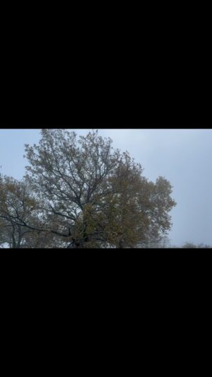 Virginie Hocq Instagram - Grande nouvelle… je me lance dans la réalisation de clips… si vous avez besoin de mes services… #music #clip #song