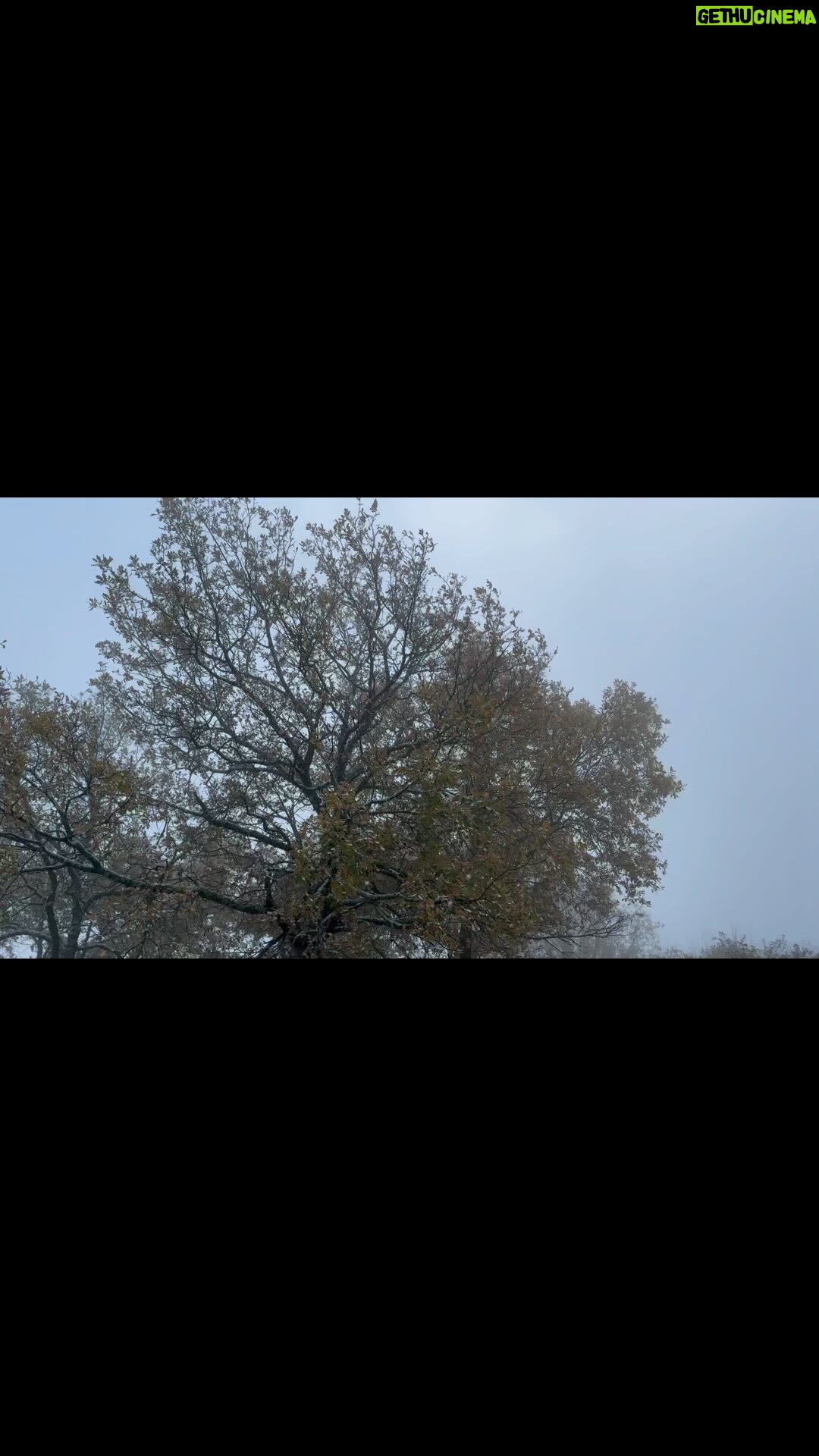 Virginie Hocq - 2.1K Likes - Grande nouvelle… je me lance dans la réalisation de clips… si vous avez besoin de mes services… #music #clip #song